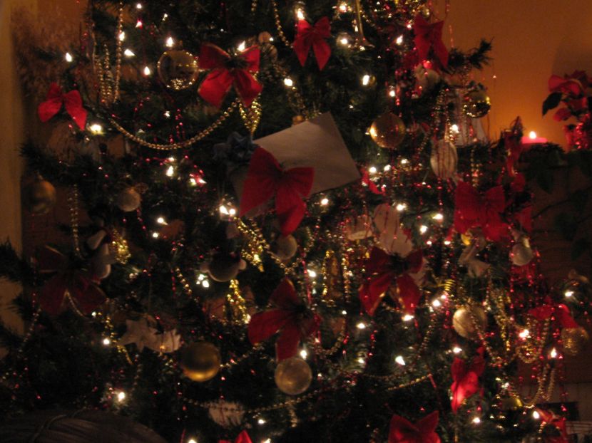 photo sapin